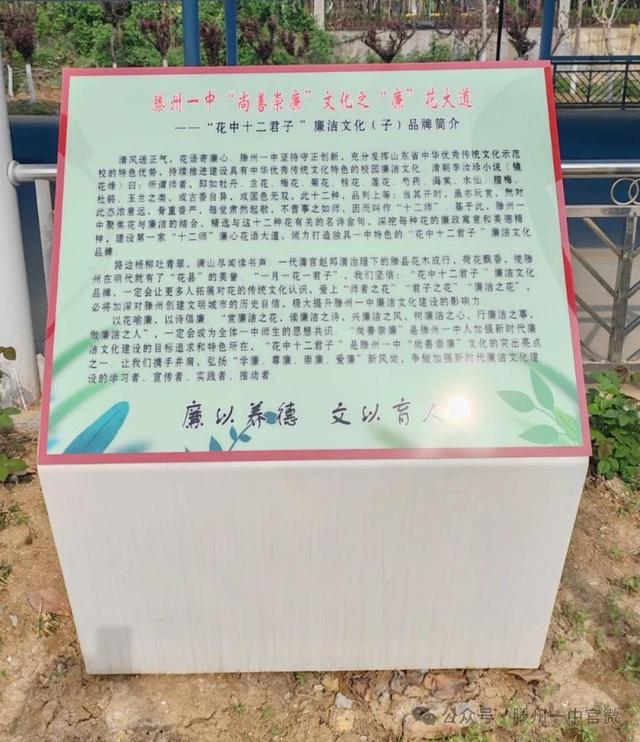 常涛来滕州一中调研清廉学校建设工作