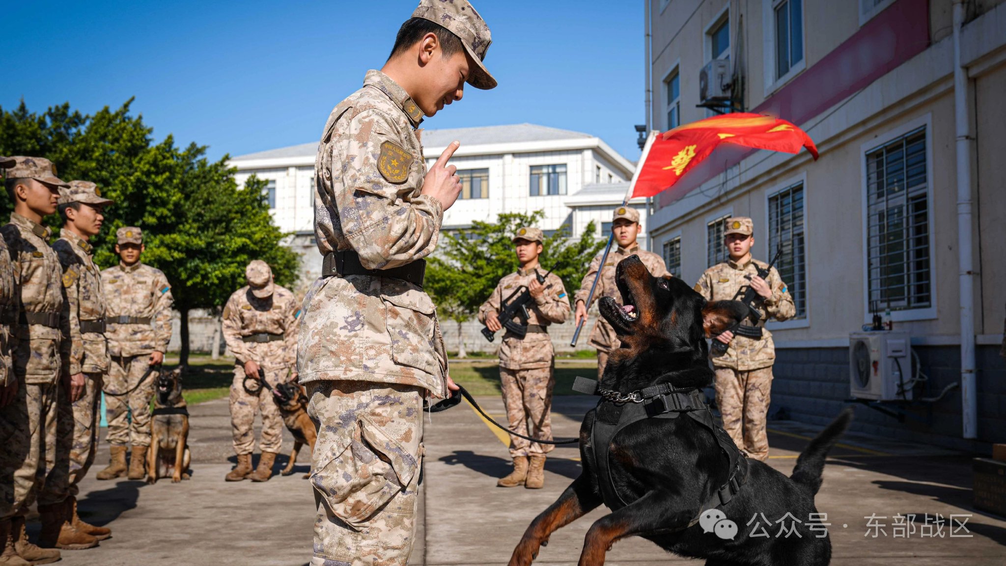 "新兵"雷鹰登台亮相.