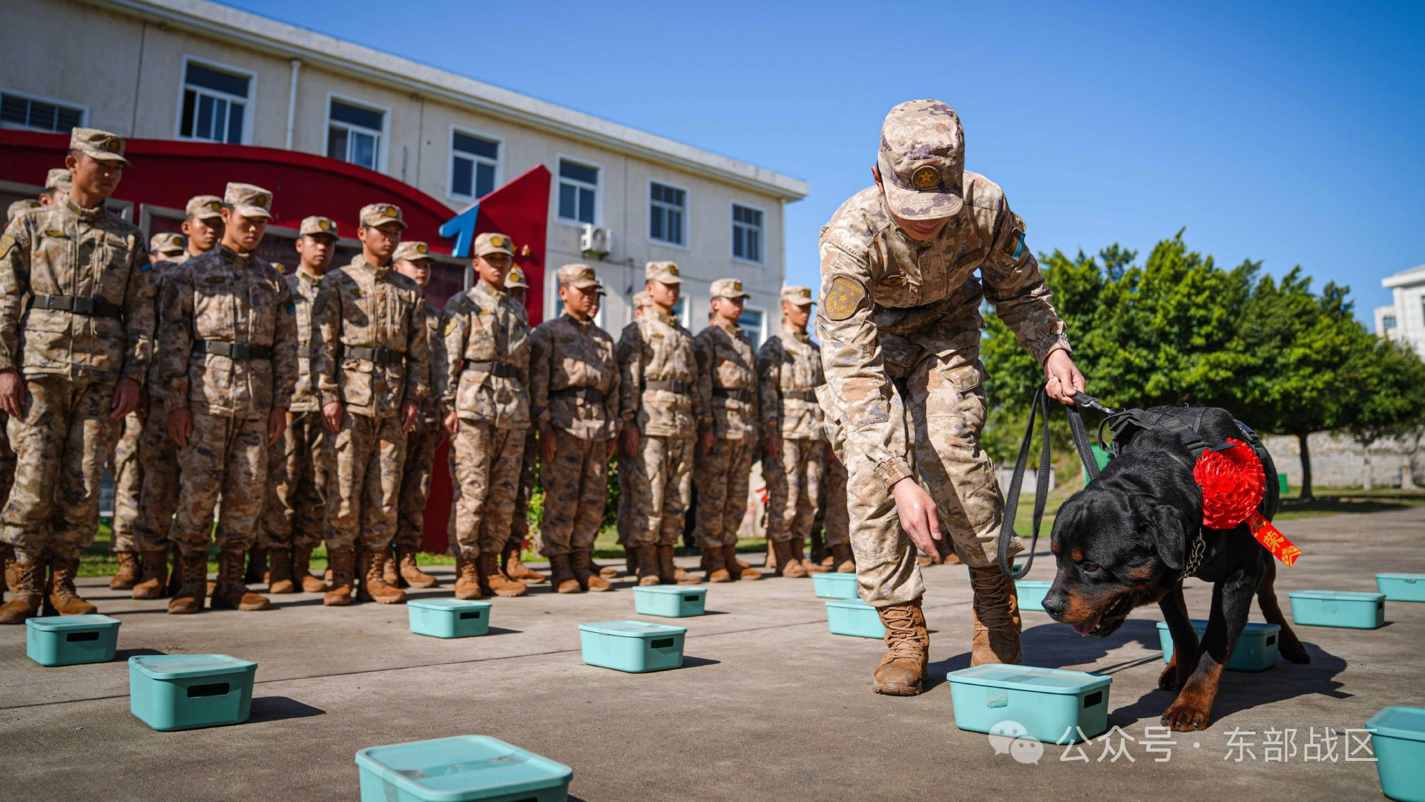 "新兵"雷鹰展示搜查技能.