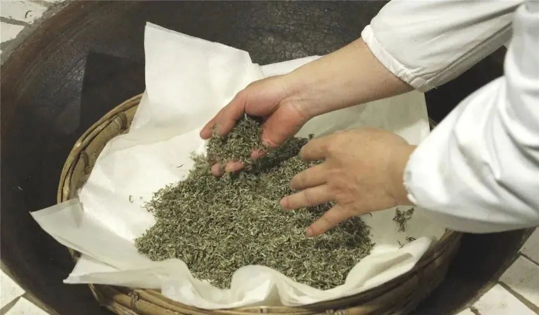 众筹云端的都匀毛尖茶甘蔗般香甜回甘绵绵口粮价喝大师茶