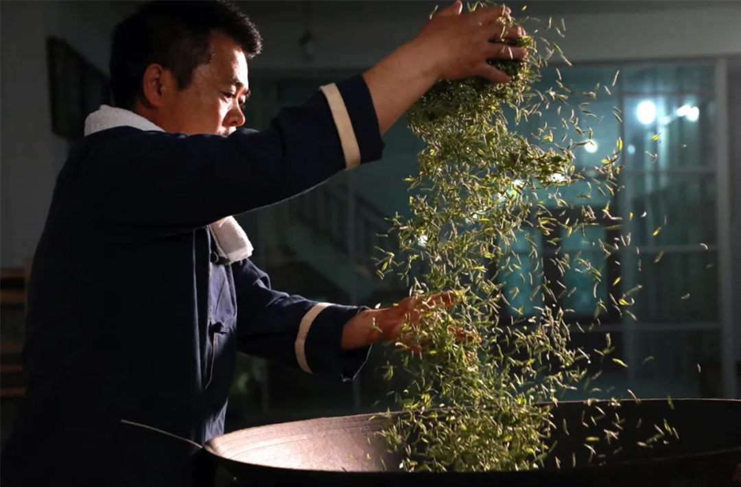 众筹云端的都匀毛尖茶甘蔗般香甜回甘绵绵口粮价喝大师茶