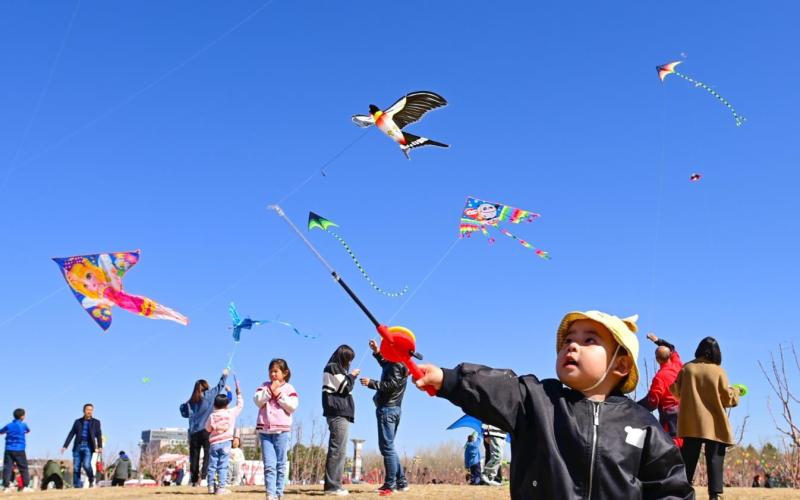 资料图:某地一公园内,小朋友正在放风筝.图/新华社