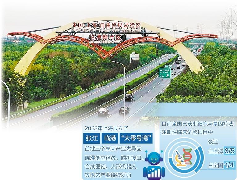 航拍下的上海临港新片区。 （资料图片）