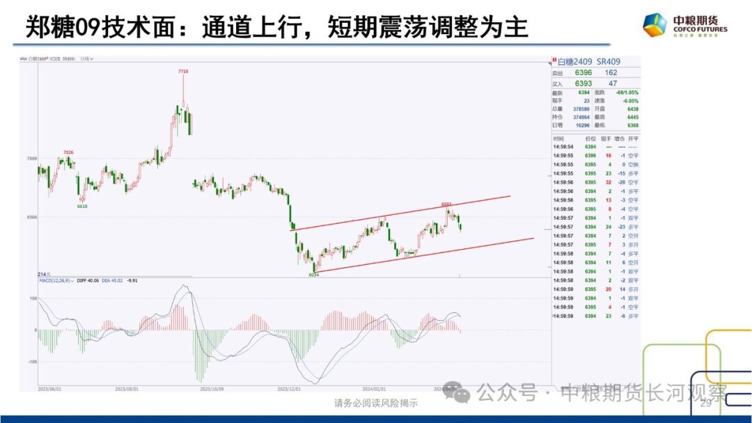 【长河报告】白糖:双周数据跟踪-20240412