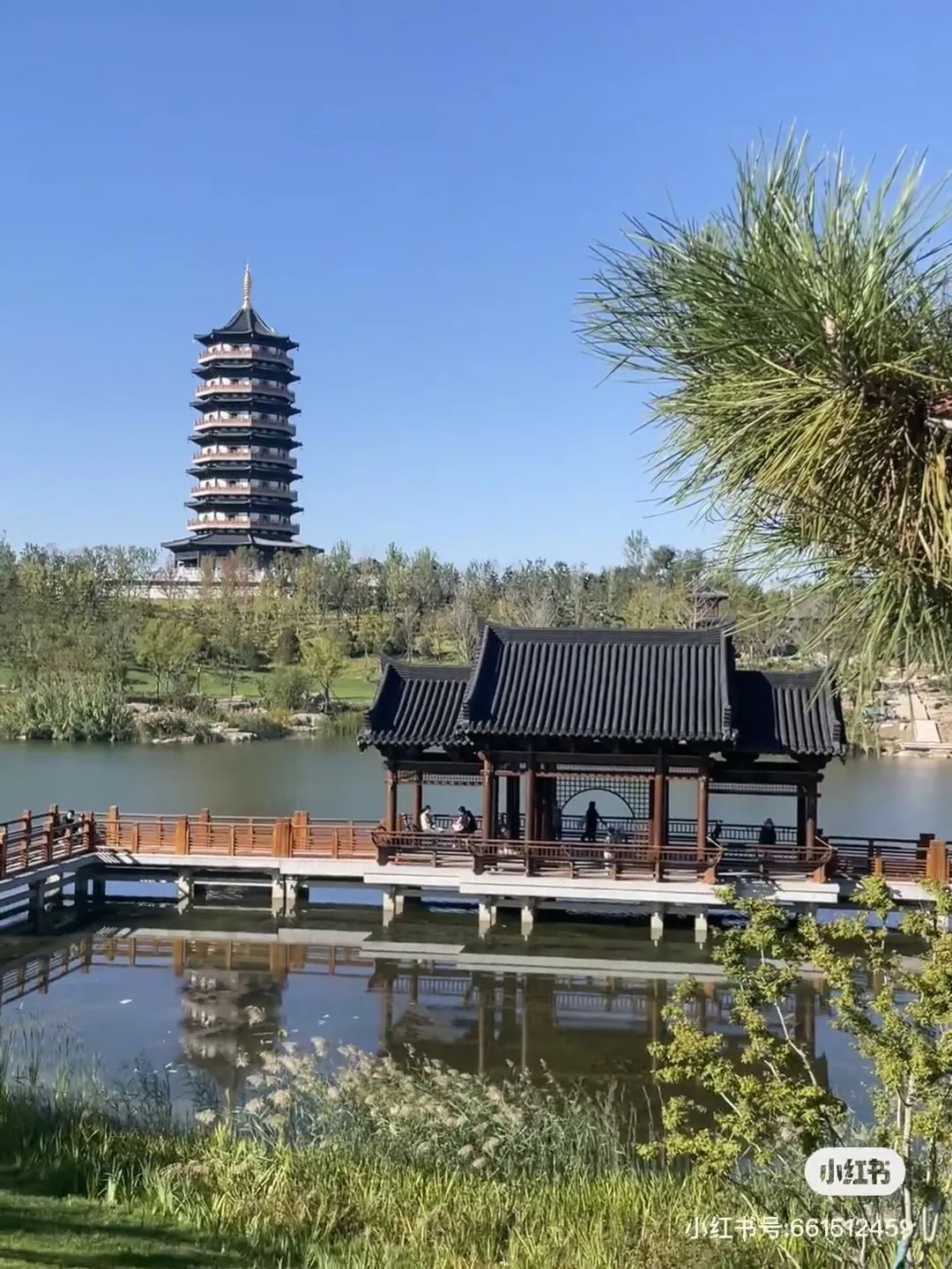 来雄安,赴一场春天的约会!|河北省_新浪财经_新浪网