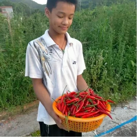 乡村治理要怎么干?快来一起get答案→_新浪财经_新浪网