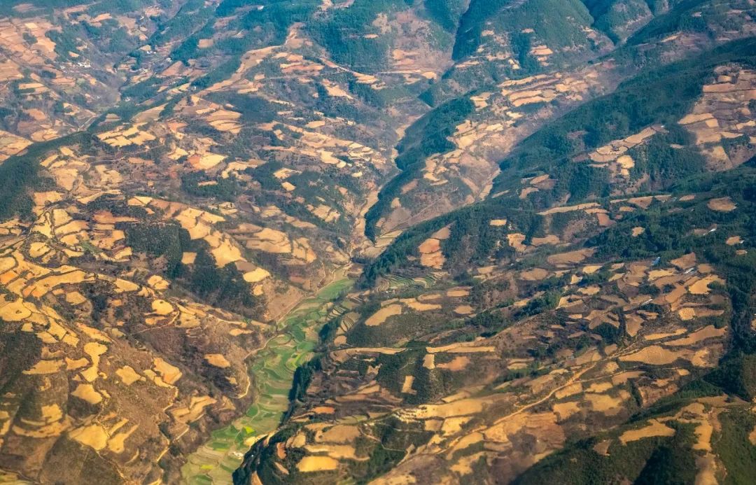 盆地上的中国好酒__财经头条