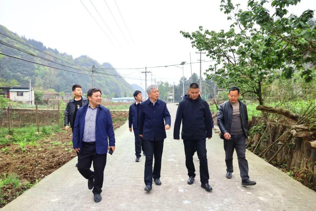 台盟中央社会服务部赴毕节市赫章县开展帮扶工作调研