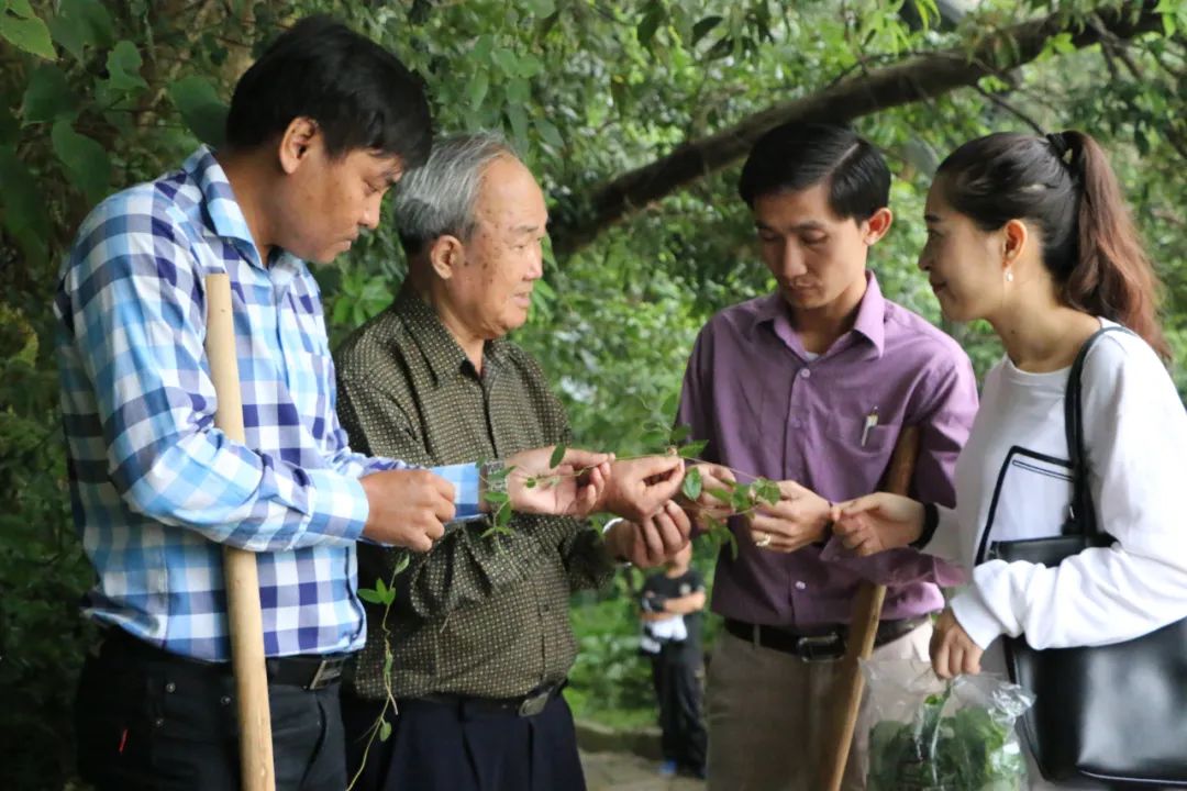 梧州市中医医院蛇伤科主任伍颖光介绍,为加强与东盟各国在蛇伤救治