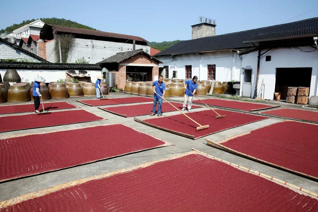 如今仍有许多酒厂将红曲应用于酿造,带来鲜亮的色彩的同时造就了独特