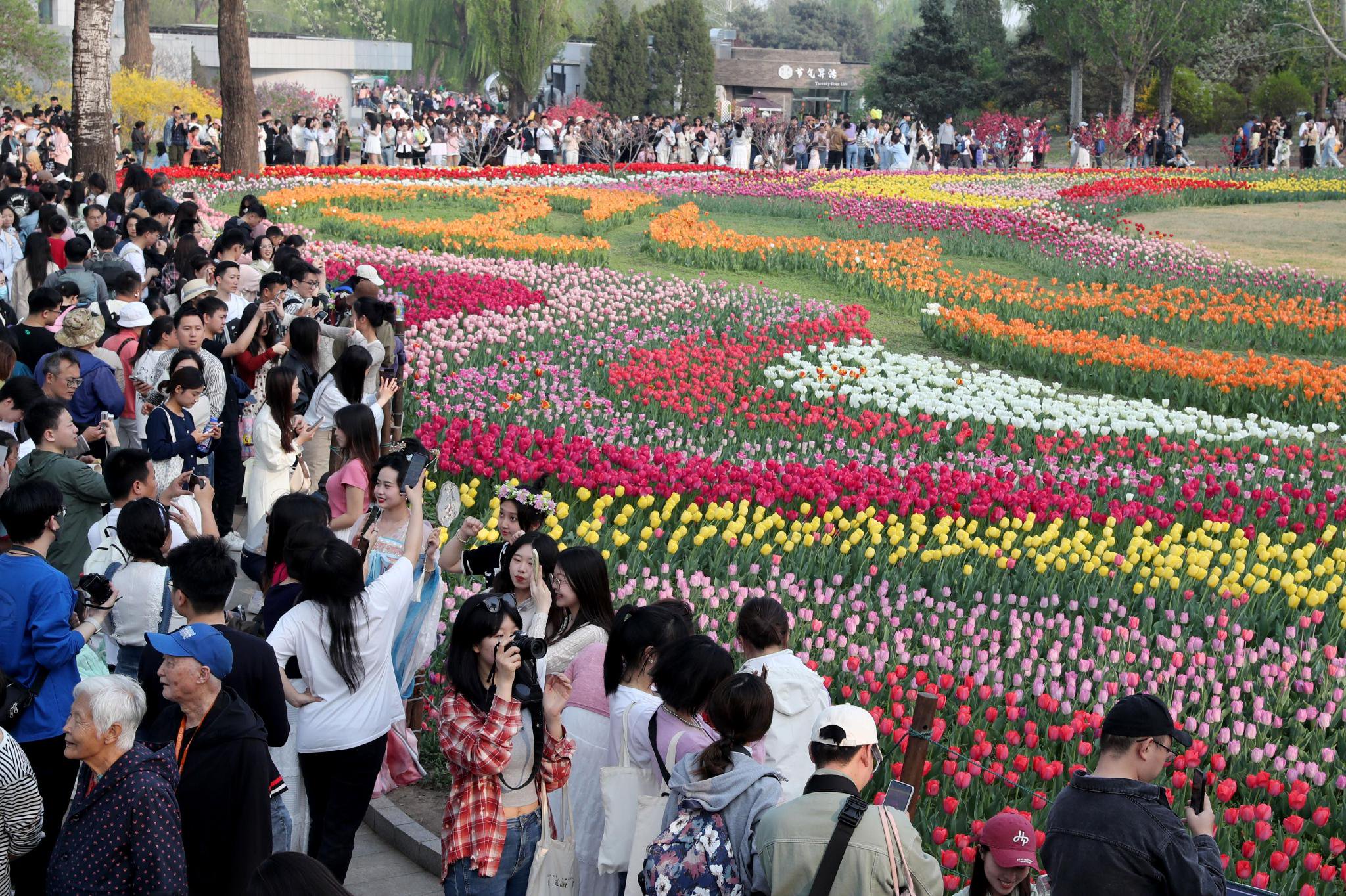 鲜花港,北京世界花卉大观园,朝阳公园,长阳公园和首农61紫谷伊甸园