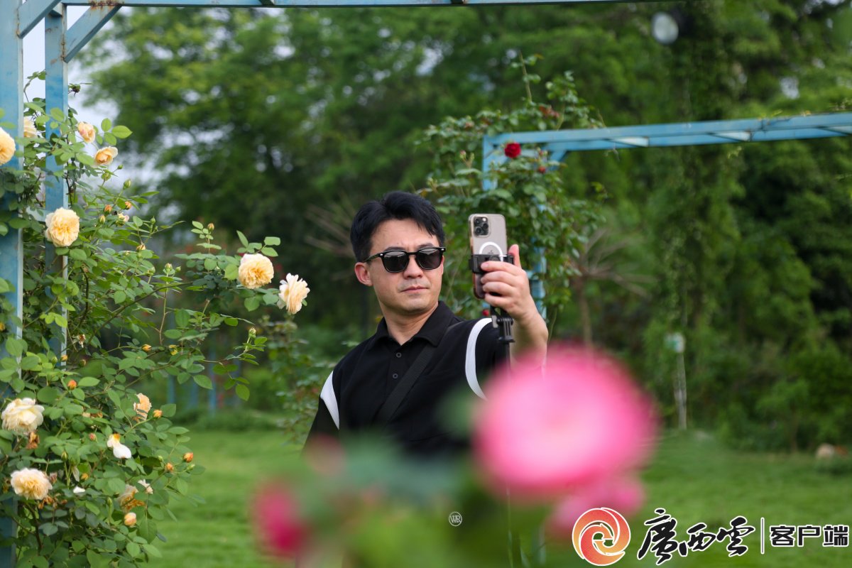 云说壮美三月三不说再见云说壮美三月三网络名人线下采风活动圆满落幕