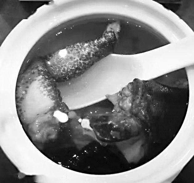 一钵石蛙尽鲜美