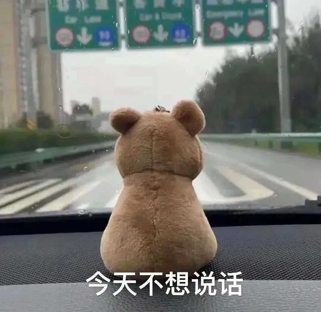 我推荐这 3 款(还不用囤货)_新浪财经_新浪网