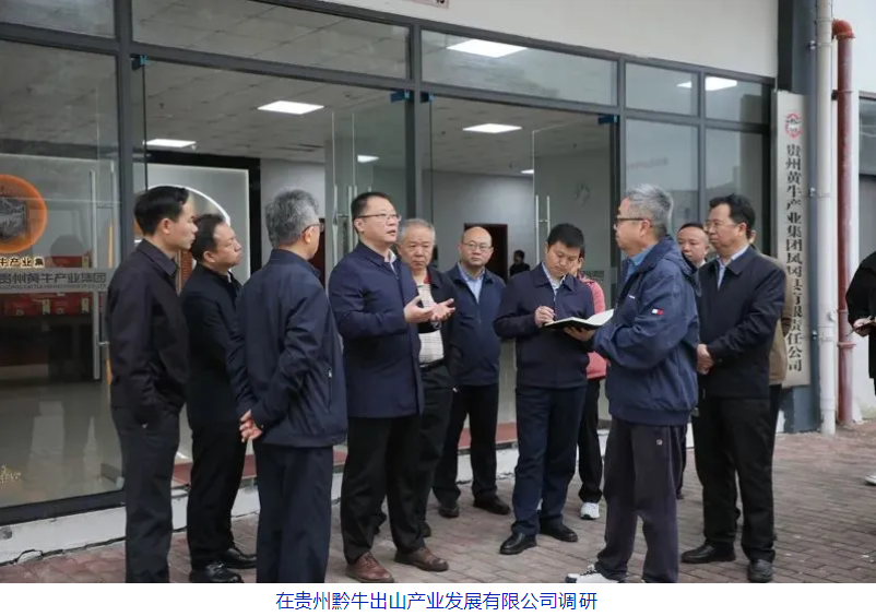 省政协调研组到凤冈专题调研肉牛产业发展情况_新浪财经_新浪网