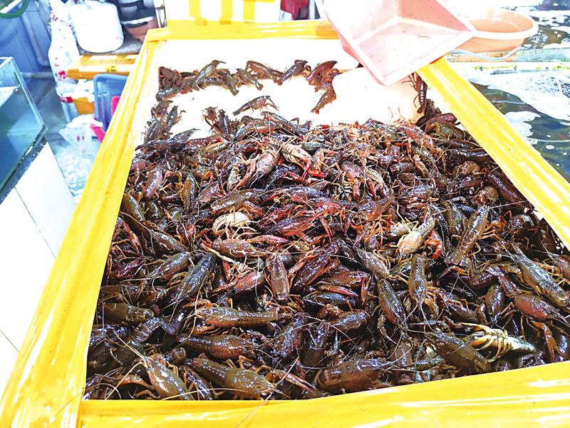 &nbsp;&nbsp;&nbsp;&nbsp;�����ָ�ͷ�ʴ��С��Ϻ&nbsp;&nbsp;&nbsp;&nbsp;�������������� ��