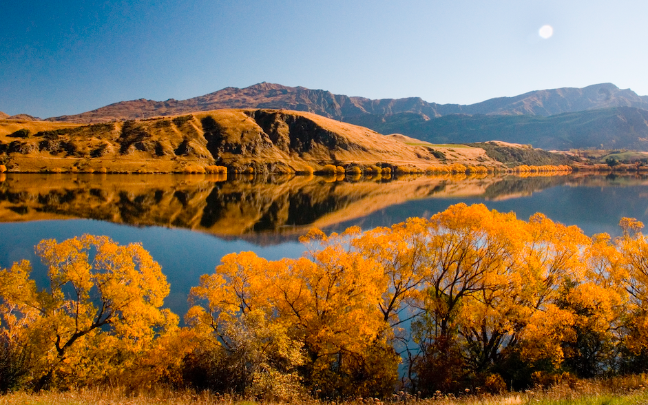 新西兰旅游局华夫:每年有六成中国游客实地参观电影外景地