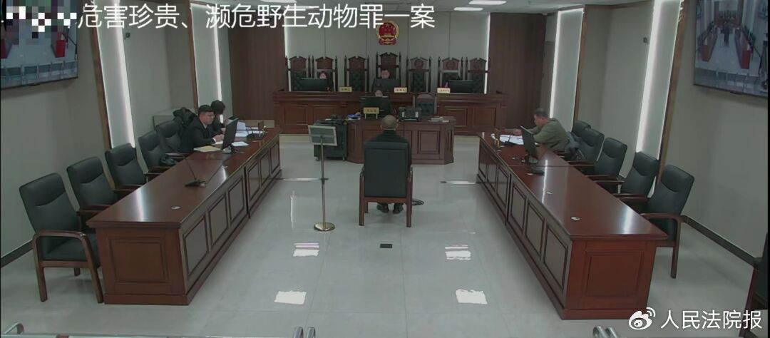 不知情情况下多次购买,北京市平谷区人民检察院以危害珍贵,濒危野生