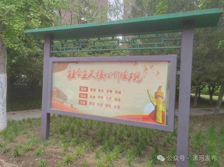 67我是创文啄木鸟丨今天曝光10个问题