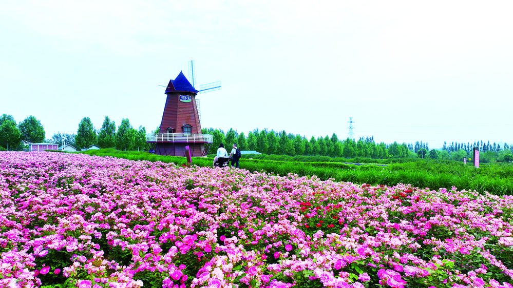 君乐宝优致牧场  景区供图