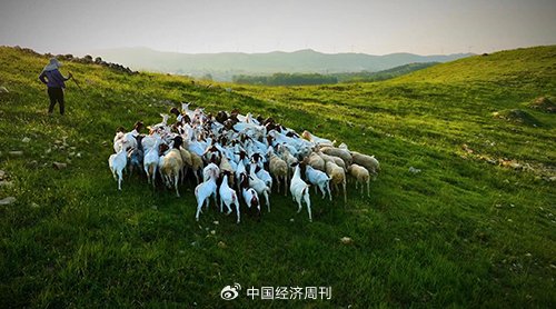 隐藏款新特产乡村全面振兴新故事