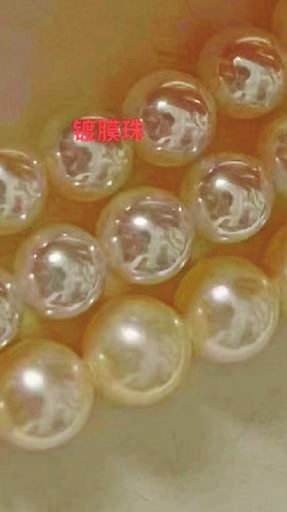 图一:红桥市场老店铺的经营者们见证了珍珠市场的繁荣.