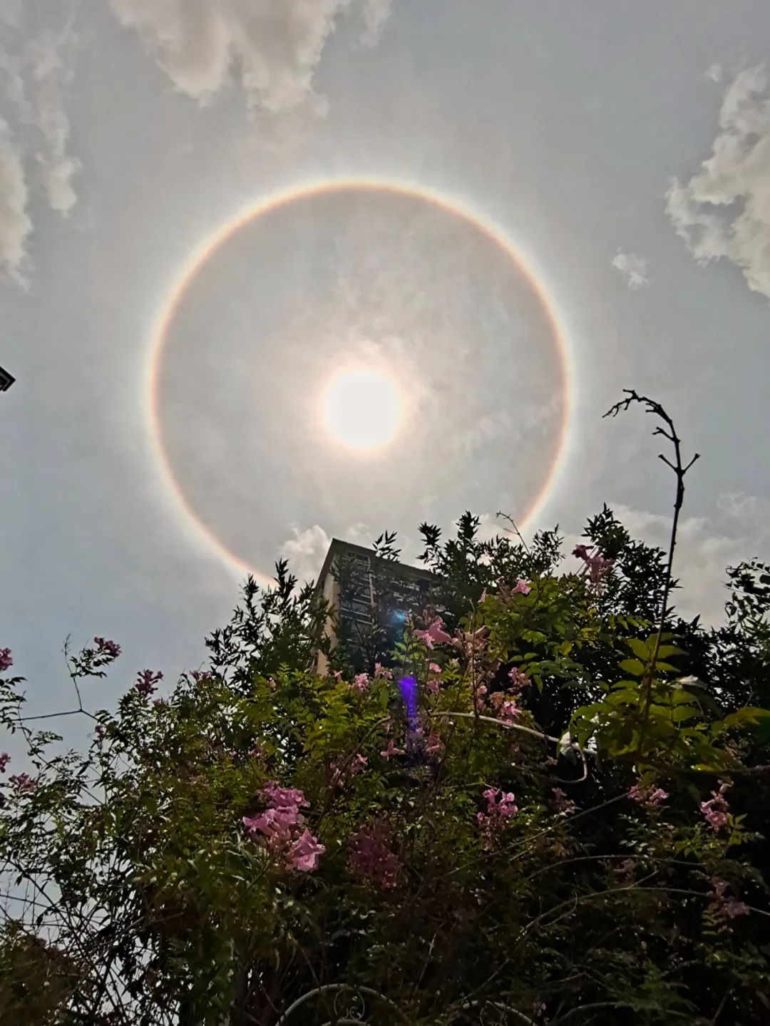 刷屏朋友圈今天阳江天空出现巨大日晕