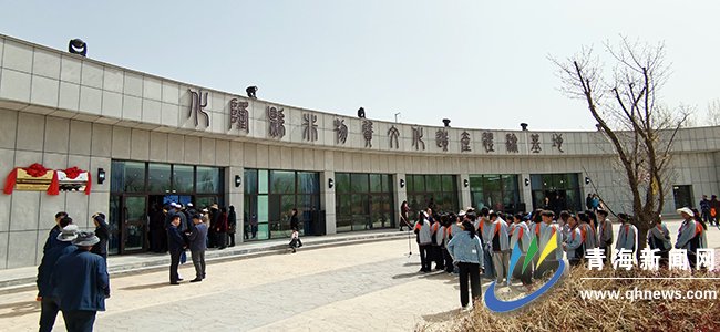 青海化隆:非物质文化遗产体验基地正式开放_新浪财经_新浪网