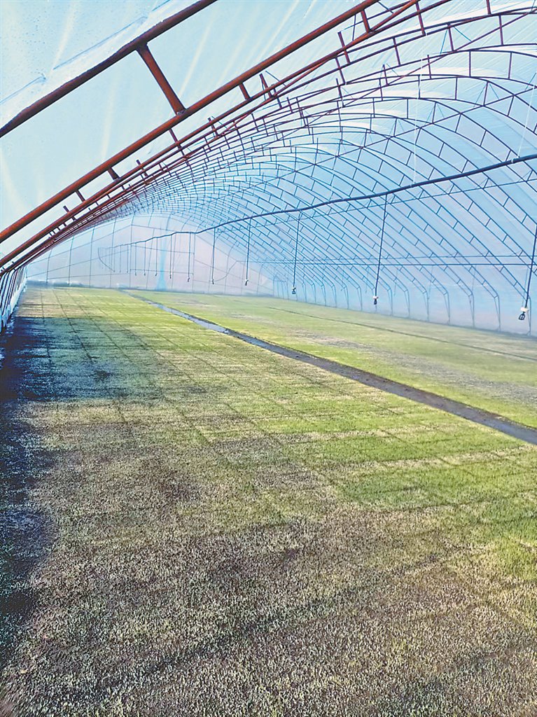 鸡东 耕在春天里 期盼连年丰|农民_新浪财经_新浪网