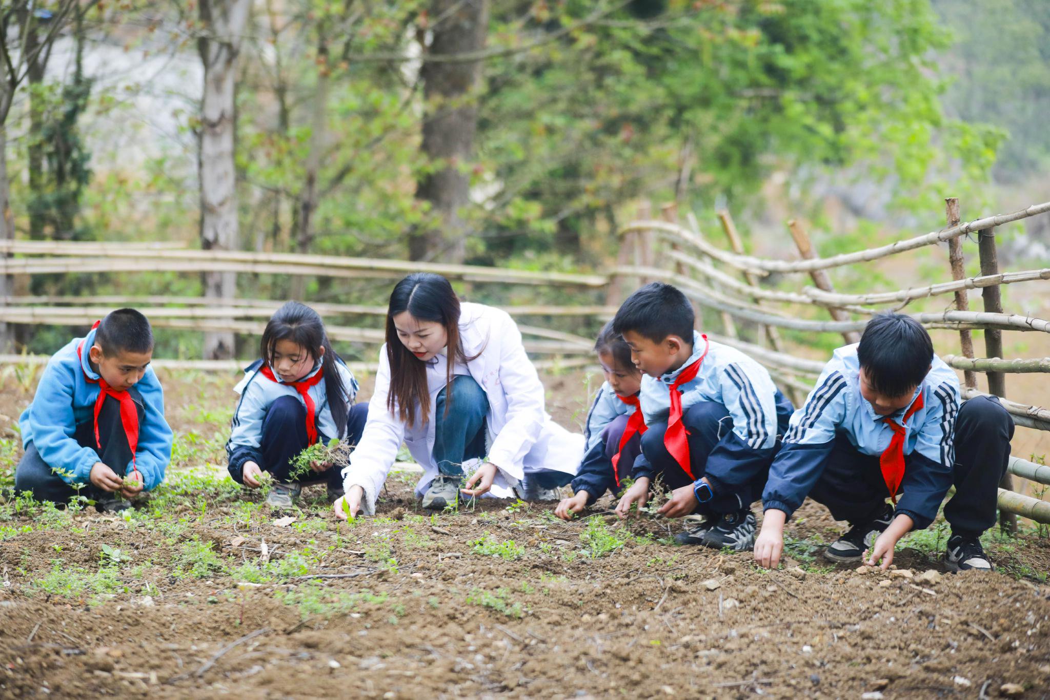 孩子们在医务人员的带领下除草.通讯员 周训超 摄