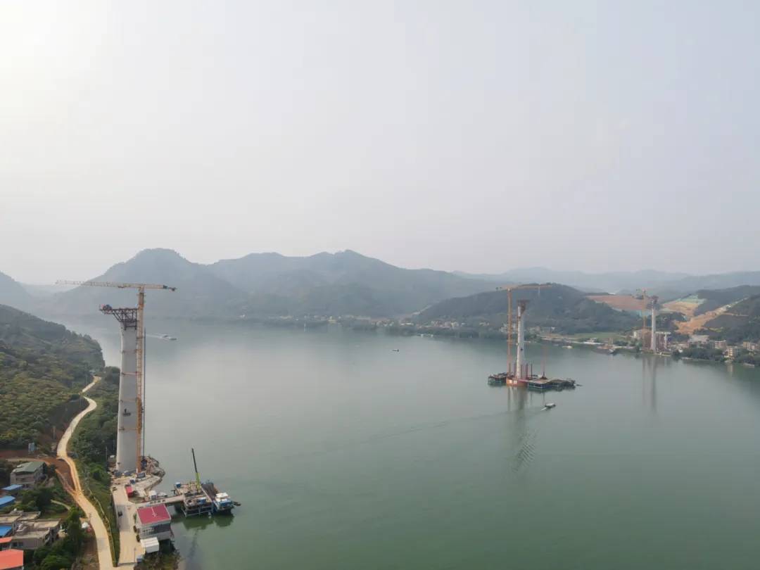 ▲浔江大桥三塔全景。
