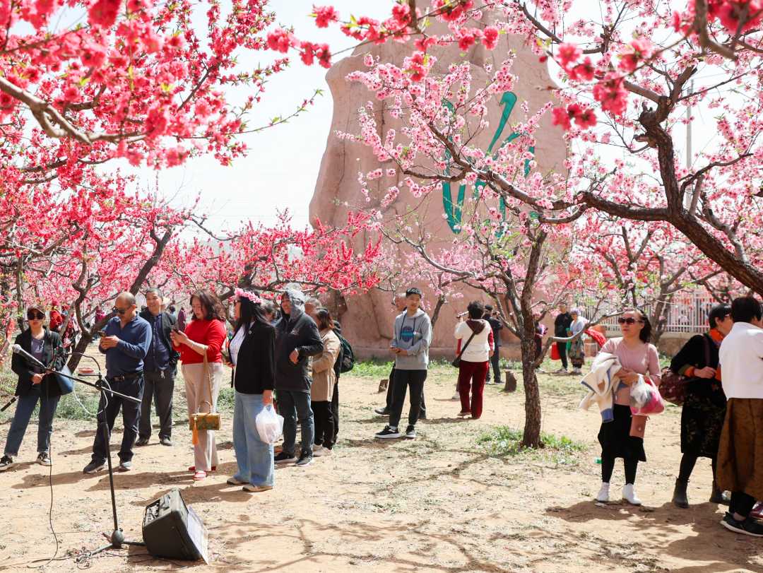 促进农文体旅商融合发展 第二十六届北京平谷国际桃花节开幕