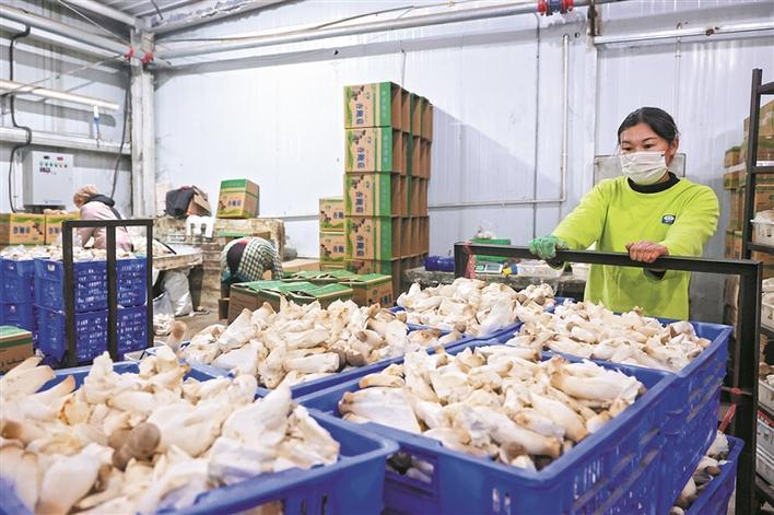 扎密"篱笆墙" 当好食品安全"侦察兵"|食品安全_新浪财经_新浪网