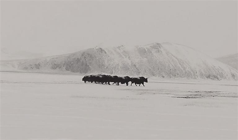 图说新闻|甘肃省_新浪财经_新浪网