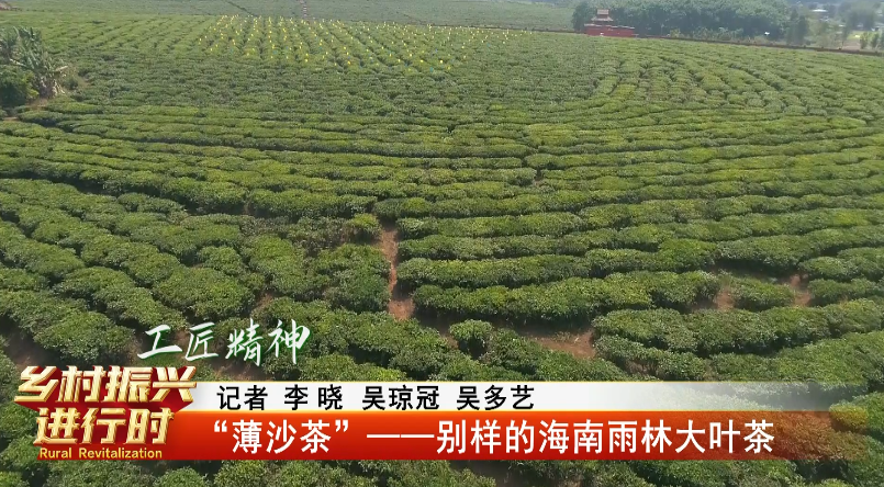 白沙:生态有机"薄沙茶" 品质优良美名扬_新浪财经_新浪网