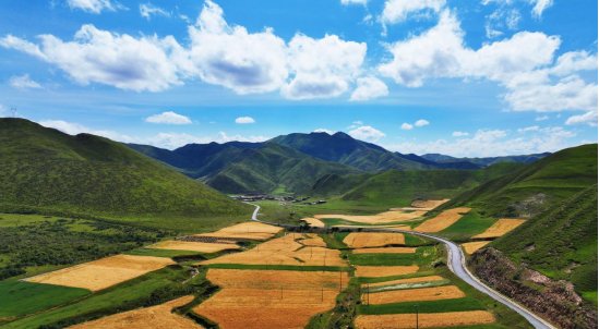 时值农业生产"筑基"之季,合作市以"四强化,四抓好"为切入点,坚决扛起