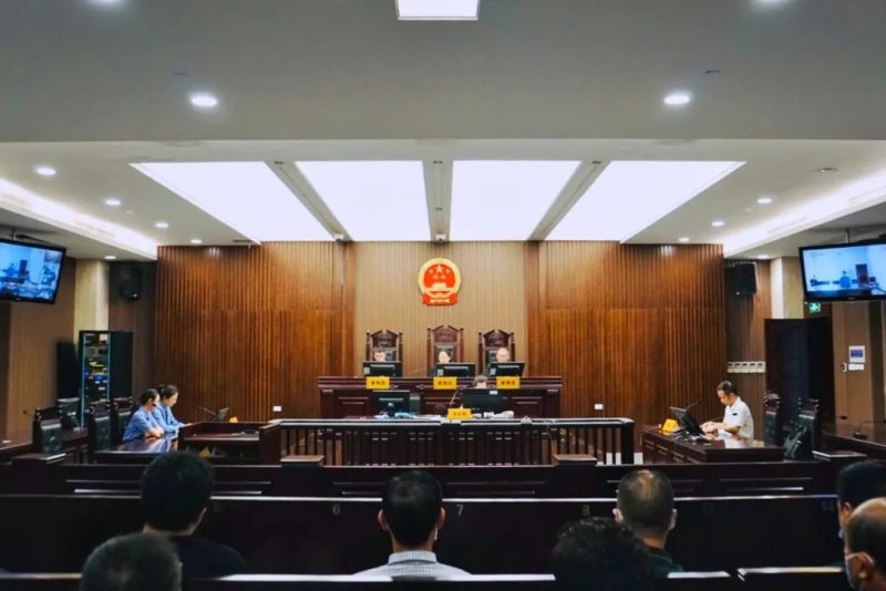▲温州中院庭审资料图。图/温州市中级人民法院官方微信公众号