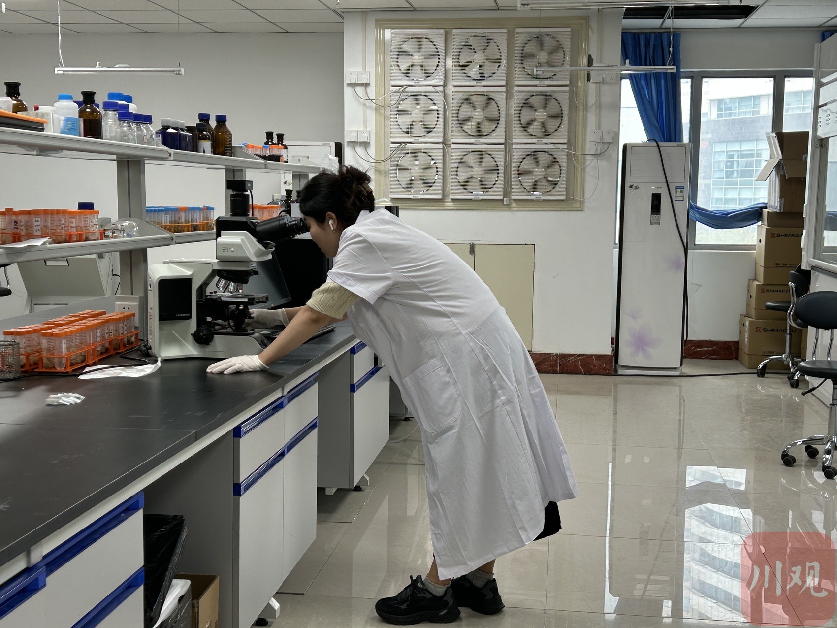 “分子病理学研究平台”房间内，重点实验室成员正在做相关实验。武茹玉 摄