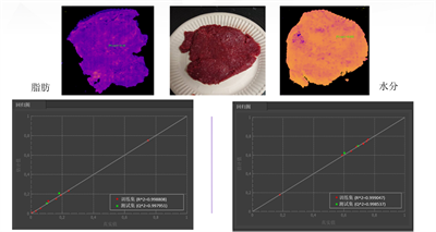图 9 事实证明，Specim FX17 相机及其 NIR 光谱范围非常善于准确测量肉末的水分和脂肪含量