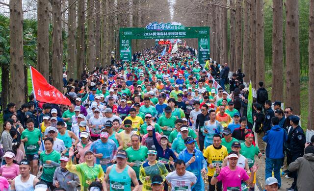 2024年3月31日，2024黄海森林半程马拉松在江苏东台黄海国家森林公园举行。 新华社发（孙家录摄）