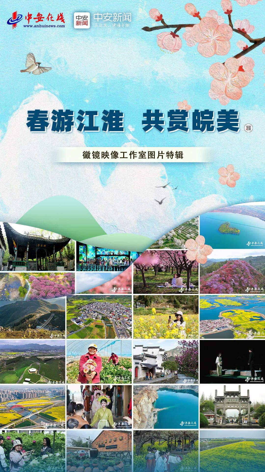 岭上开遍映山红,大别山中近万亩野生红杜鹃傲然盛开,诉说着崇高的红色