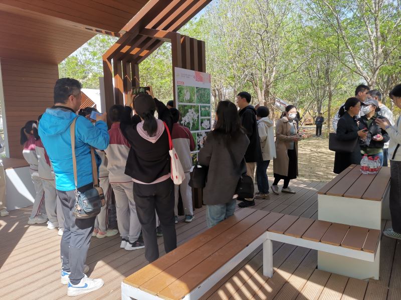 市民游客在东坝公园内的林中书屋观看展览。  新京报记者 张璐 摄