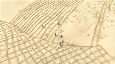 内蒙古翁牛特旗农牧民在科尔沁沙地乌白路稻草网格中栽植樟子松。 赵天宇摄