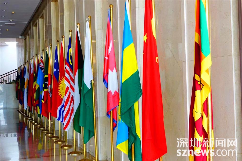 在大厅过道两旁插满世界各国和地区的国旗.李仁奇 摄