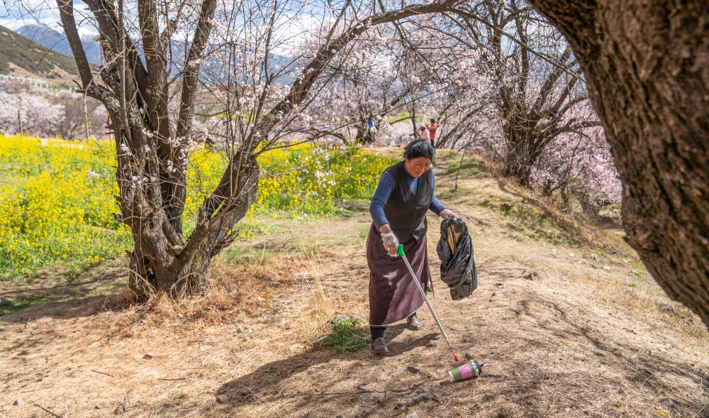 尼玛曲吉在嘎拉村桃花园里捡拾垃圾。新华社记者丁增尼达摄