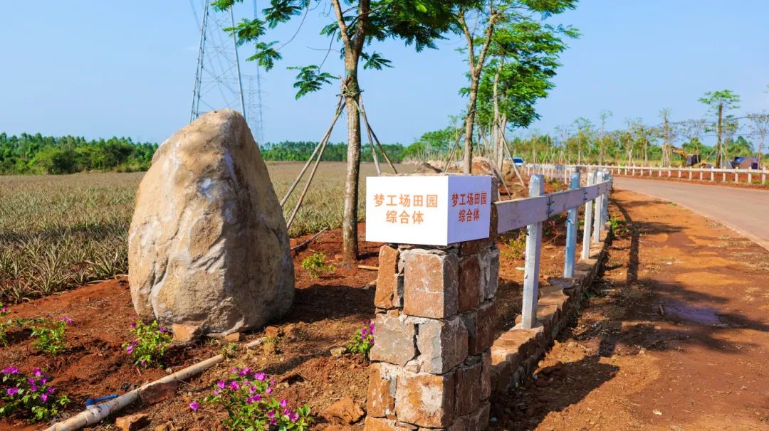 刘红兵到雷州龙门镇开展场观摩活动_新浪财经_新浪网