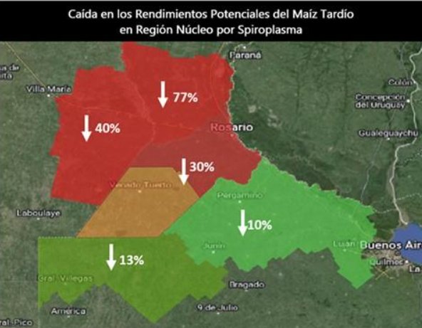 （玉米核心产区将因螺旋体细菌出现不同程度减产，来源：罗萨里奥商品交易所）