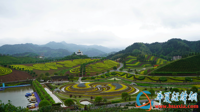 茶乡花海生态文化体验园美景.(摄影:虞鹰)