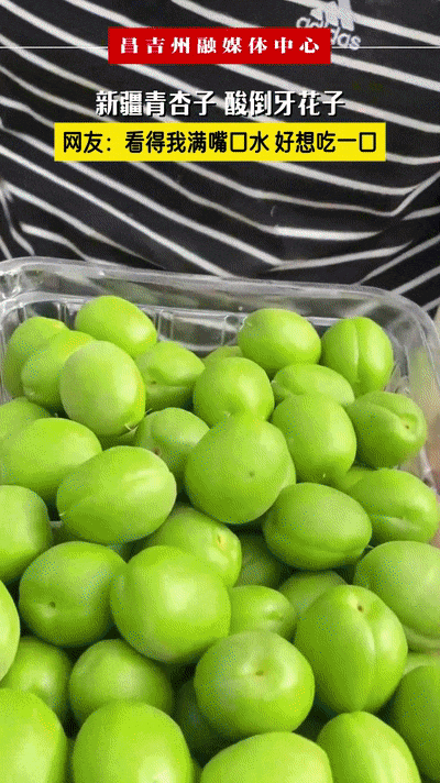 来源：丝路昌吉客户端