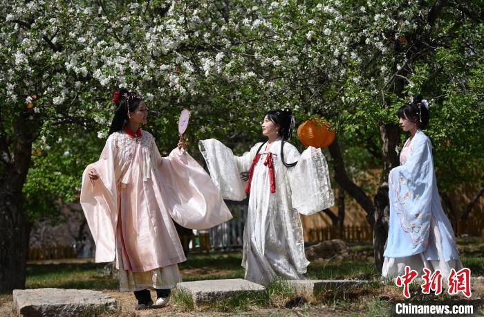 张晶与小伙伴们在杏花树下游玩。　中新网记者 刘文华 摄